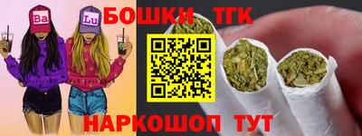 СК Сланцы