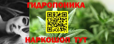 СК Сланцы