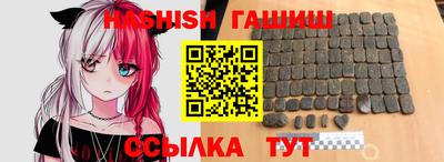 СК Сланцы