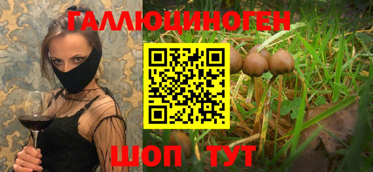 Ногинск  Галлюциногенные грибы прущие грибы  Вход с VPN  Галлюциногенные грибы мухоморы 